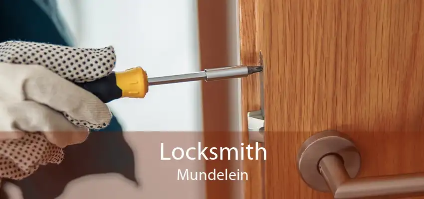 Locksmith Mundelein